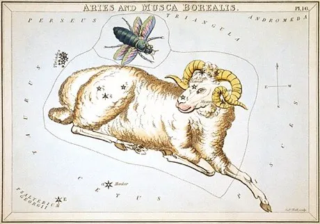 The Aries constellation, hand-coloured antique star chart