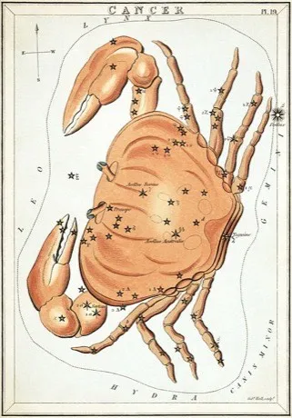 The Cancer constellation, hand-coloured antique star chart