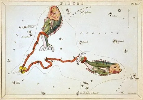 The Pisces constellation, hand-coloured antique star chart