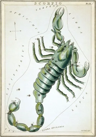 The Scorpio constellation, hand-coloured antique star chart